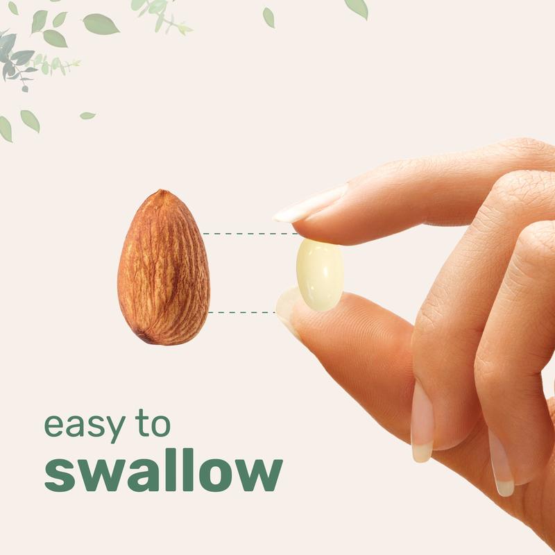 Benfotiamine – 600mg Coconut Oil Softgels